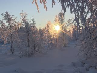 C'est beau, non ?