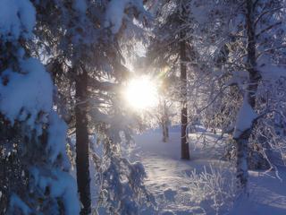 Le soleil joue à cache cache