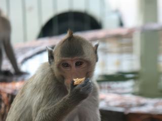 Photo de voyage en Thaïlande