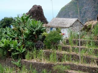 Maison à toit de chaume, traditionnelle de Santo Antao