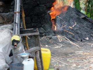 Le feu pour chauffer l'alambic est entretenu avec les chaumes de cannes séchés après qu'elles aient été pressées