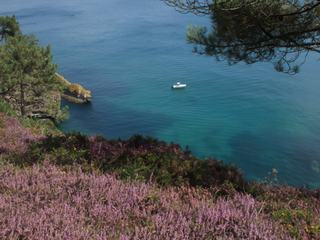 Entre Morgat et Cap de la Chèvre