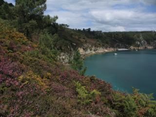 Le long du sentier