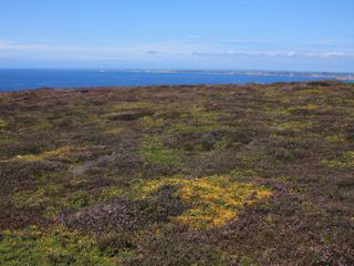 A l'horizon, les Tas de Pois