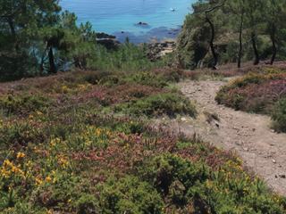 Encore un havre de paix pour les plaisanciers