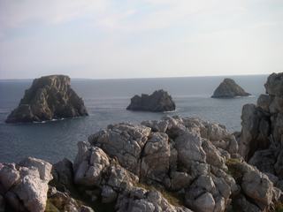 Les Tas de Pois