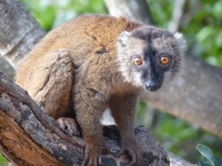Photo de voyage à Mayotte