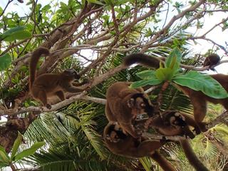 Une journée à N'Gouja – Mayotte