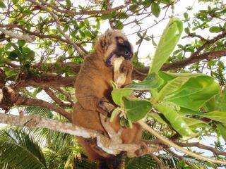 Une journée à N'Gouja – Mayotte