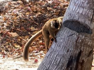 Une journée à N'Gouja – Mayotte