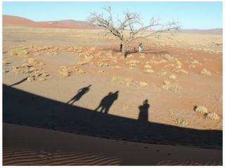 Les dunes de Sossusvlei
