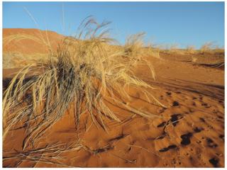 Les dunes de Sossusvlei