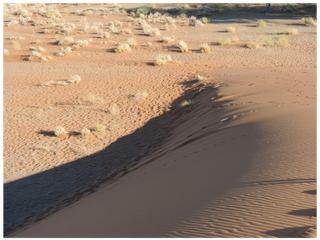 Le désert du Namib