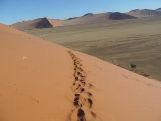 Nos traces dans le sable sont aussitot recouvertes par le vent