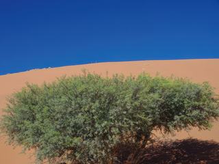 Contraste de couleurs