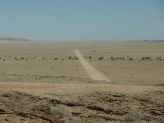 Le désert de Namib