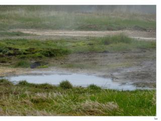 Un tout petit geyser!