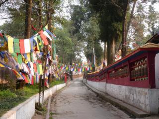 Au monastère d'Enchey, une atmosphère très sereine a été créée avec les drapeaux de prière multicolores. Le vent qui souffle caresse au passage les formules sacrées qui y sont imprimées et les disperse dans l’espace, les transmettant ainsi aux dieux. Ils sont considérés comme des porte-bonheur possédant la capacité d’écarter les difficultés.