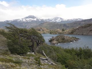 Le lago Grey Les arbres indiquent le sens du vent !!