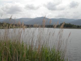 lac des Escarcets près du Muy
