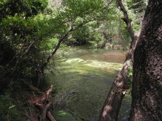Le vallon Sourn