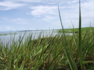 Près de la rive du Fleuve St-Laurent