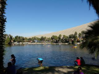 Oasis de Huacachina