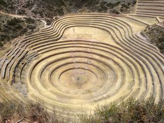 Moray