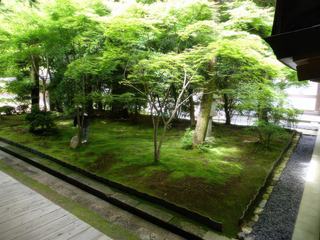Par opposition au jardin sec du temple Ryoan-ji voici le jardin humide composé d'un bouquet d'arbres abritant un parterre de mousses, soigneusement balayées car elles sont un symbole de la vie.