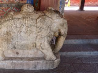 L'un des deux éléphants caparaçonnés, de chaque côté de la porte d'entrée.
