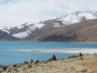 Le lac est une escale pour les oiseaux migrateurs. A la saison migratoire, les îles du lac Yamdrok-Tso, mais aussi les berges, sont entièrement recouvertes d'oiseaux et d'œufs, le lac prend alors vie au rythme de ces petits oiseaux.