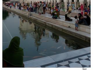 Des fidèles assis au bord de l’Amrit Sarovar (ou bassin "de Nectar") où nagent des carpes.