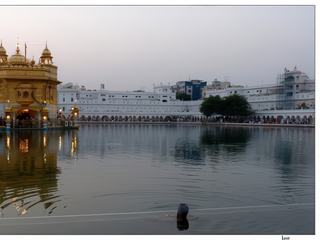 Un sikh fait ses ablutions dans le bassin de Nectar, face au Temple d’Or.