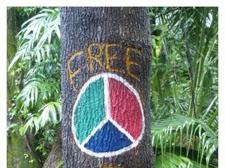A l'entrée de l'Institut Norbulingka, "Tibet libre".
