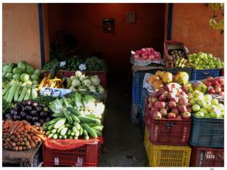 Bel étal de fruits et légumes à la sortie de l'institut.