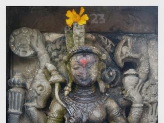Ardha-Lakshmi-Narayana est représenté moitié mâle et moitié femelle, la moitié droite est le Vishnu mâle avec ses attributs traditionnels (une roue ou chakra, une conque ou shankha, un lotus (padma) et une massue (gada), assis sur sa monture Garuda (l'homme-oiseau). Cette représentation est rare dans le nord de l'Inde.