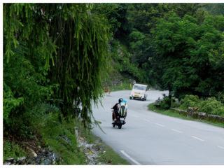 Il faut faire attention aux vaches sur la route, comme celle qu'on aperçoit sur la gauche, en général elles ne se pressent pas!