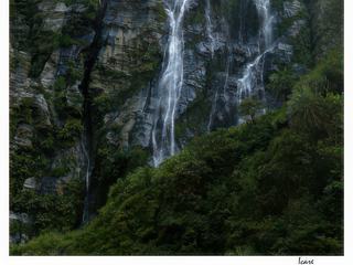Mariage de l'eau et du végétal.