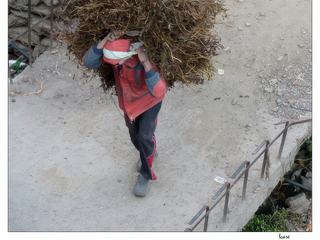 Comme au Népal, c'est à l'aide du namlo (ceinture de cuir ou de tissu) ceint autour de la tête et peut-être du doko (panier) en bambou tressé que se fait le transport des charges à dos d'homme.