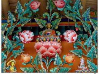 Des fleurs de lotus entourent le Bouddha historique.