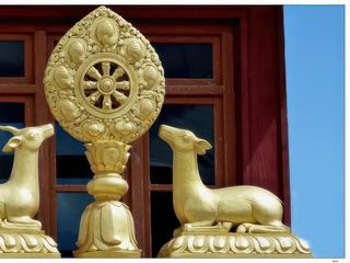 La Roue du Dharma entourée, à gauche, d'un daim et, à droite, d'une biche. Leur présence rappelle le premier sermon donné par le Bouddha à ses compagnons en présence de deux de ces animaux, dans le parc de Sarnah, près de Bénarès. la Roue du Dharma est un symbole représentant l'enseignement du Bouddha sur le chemin de l'éveil, depuis le début de la période du bouddhisme indien; c'est un des huit symboles auspicieux.