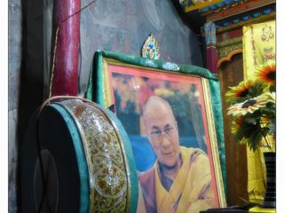 Près d'un autel, la photo du dalaï-lama, Tenzin Gyatso.