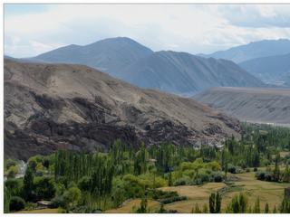 Dans cette région aride, les Ladakhis se sont installés le long de l'Indus et de ses affluents. Ils cultivent des petites parcelles d'orge, de blé et de luzerne.