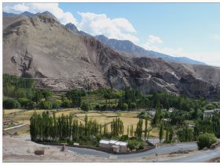 Quelques kilomètres après la confluence du Zanskar et de l'Indus, nous passons à Basgo, malheureusement sans nous arrêter car notre journée va être bien remplie. Ancienne capitale du Bas-Ladakh (Sham + Purig + Baltistan) entre le XVe et 17e siècles, Basgo était un site stratégique important pour le contrôle des caravanes entre le Haut et le Bas Ladakh.
