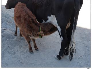 Pause tendresse.