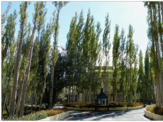 La résidence d'été du dalaï-lama, lorsqu'il vient au Ladakh, est située dans un grand parc ombragé.