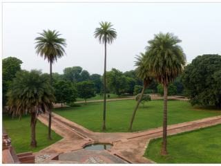 Vue sur une partie des jardins.