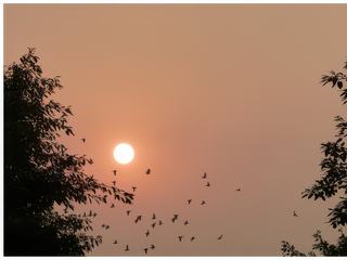 C'est en fin de journée qu'il faut venir pour profiter de la douce lumière et du coucher de soleil.