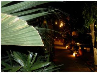 Le restaurant Lodi The Garden est l'endroit idéal pour notre dernier dîner en Inde, nous allons nous installer sous les arbres centenaires du jardin.