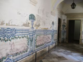 Coimbra: l'université.